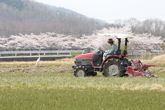 製造業企業による農業・水産業への参入